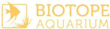 Biotope Aquarium